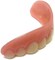 Instant Smile Teeth upper veneer secure cosmetic costume teeth dental - Size Small